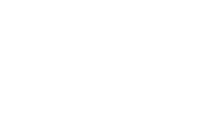 SBS Groupe